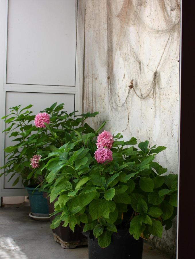 Rooms & Apartments Dolac Хвар Экстерьер фото